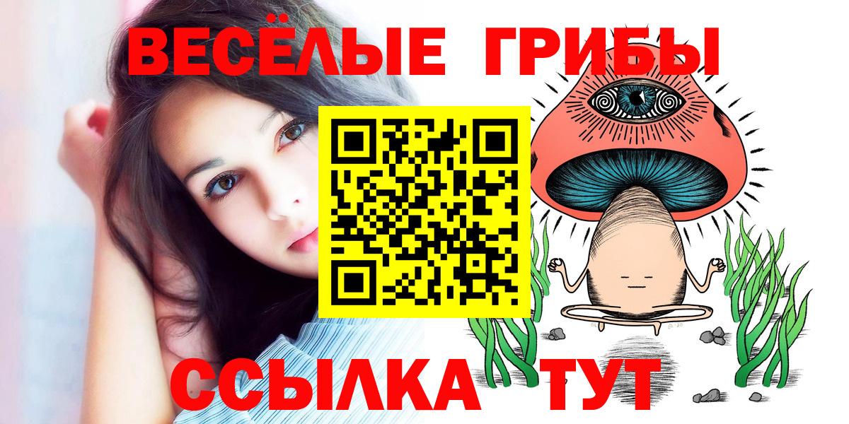 Сафоново  где купить наркоту  Вход с VPN  Галлюциногенные грибы Psilocybe 